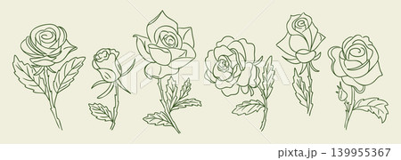 Line art illustration of various rose flowers with detailed petals and leaves arranged in a horizontal row on a light beige background Line art illustration of various rose flowers with detailed petals and leaves arranged in a horizontal row on a light beige background 139955367