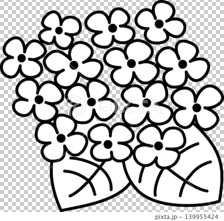 Hydrangea black and white line drawing coloring picture Hydrangea black and white line drawing coloring picture 139955424