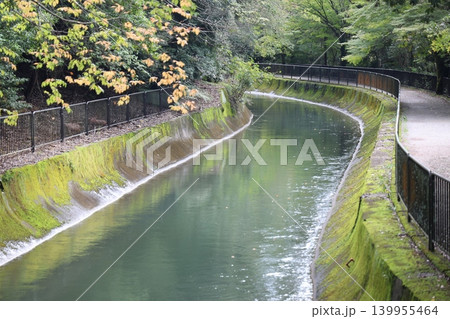 川のある風景 139955464