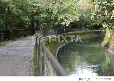 川のある風景 川のある風景 139955466