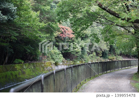 川のある風景 川のある風景 139955478