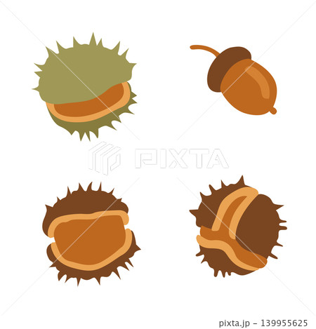 Hand-drawn autumn forest chestnut and acorn collection isolated on white for fall designs or packaging, product design Hand-drawn autumn forest chestnut and acorn collection isolated on white for fall designs or packaging, product design 139955625