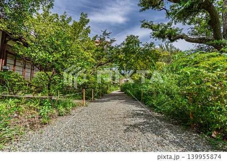 緑豊かな向島百花園の日本庭園と伝統的な木造建築の風景 其の四　2023年9月 139955874