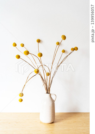 Dried craspedia flowers in a small white vase on a wooden table Dried craspedia flowers in a small white vase on a wooden table 139956057