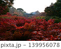 東福寺 139956078