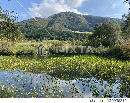箱根湿生花園と山並み 青空に広がる爽やかな自然景観 箱根湿生花園と山並み 青空に広がる爽やかな自然景観 139956212
