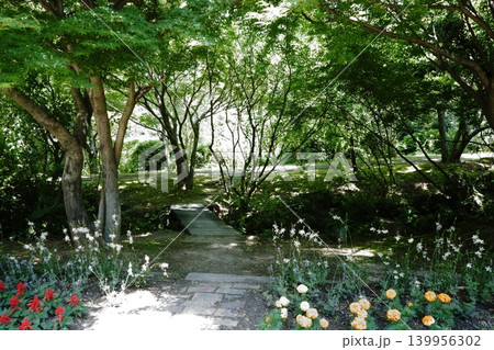 花と小川の板橋 花と小川の板橋 139956302