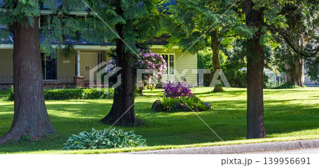 Serene Yellow House in a Lush Summer Garden Serene Yellow House in a Lush Summer Garden 139956691