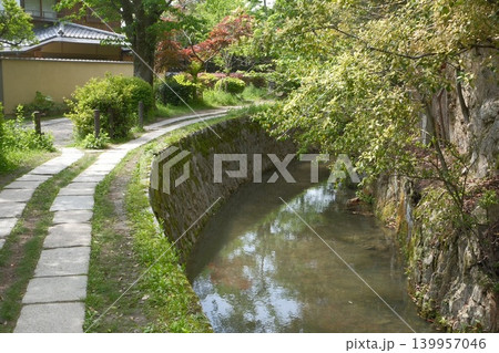 新緑に包まれた哲学の道と水路の静かな小道 新緑に包まれた哲学の道と水路の静かな小道 139957046