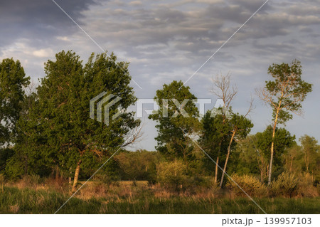 The magnificent landscape on evening light The magnificent landscape on evening light 139957103