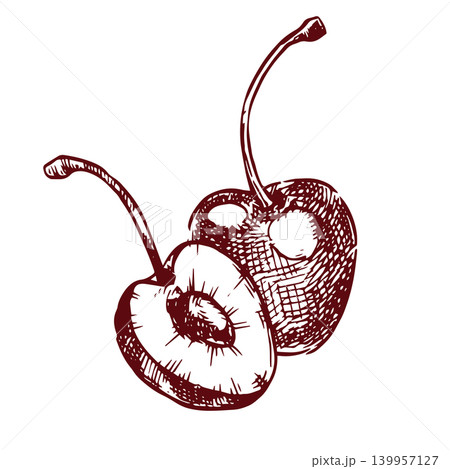 Cherry berry composition. Vector illustration in sketch style. Cherry berry composition. Vector illustration in sketch style. 139957127