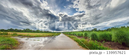 Country road with storm clouds and green asparagus field Country road with storm clouds and green asparagus field 139957621