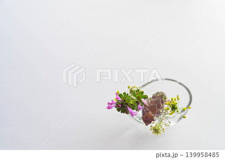 摘んできた野の花 摘んできた野の花 139958485