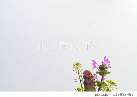 摘んできた野の花 139958486