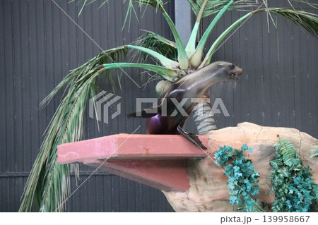 岩棚にとまる鳥の自然な姿 岩棚にとまる鳥の自然な姿 139958667
