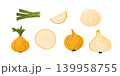 Onion Vegetable Slice Ingredient Set 139958755