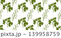 Herb Parsley Seamless Botanical Pattern 139958759