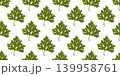 Parsley Leaf Seamless Herb Pattern 139958761