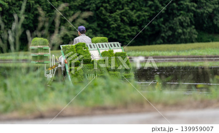 田植えをする風景 139959007