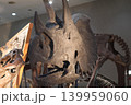 角竜トリケラトプスの恐竜の化石標本 139959060