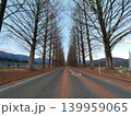 滋賀県高島市のメタセコイア並木 139959065
