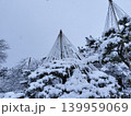 一面雪景色の中、松を守る雪吊り、冬囲い 139959069