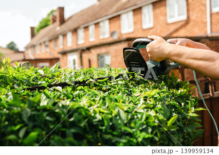 Person trimming garden hedge with electric hedge trimmer, backyard gardening maintenance Person trimming garden hedge with electric hedge trimmer, backyard gardening maintenance 139959134