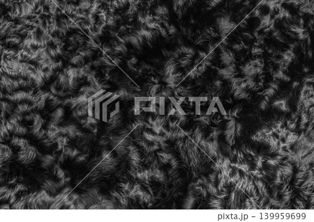 Black wool texture fur background dark soft material abstract surface pattern natural backdrop animal Black wool texture fur background dark soft material abstract surface pattern natural backdrop animal 139959699