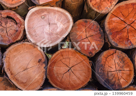 Tree Logs Grain Cuts Timber 139960459