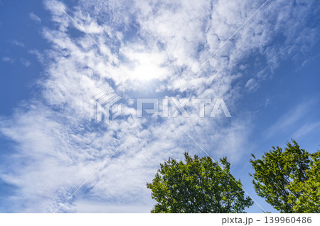 青空と雲と樹木 青空と雲と樹木 139960486
