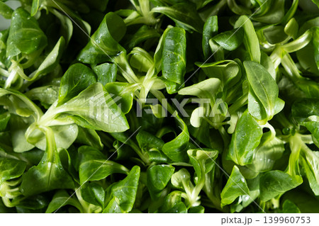 Organic green corn salad background. Organic green corn salad background. 139960753