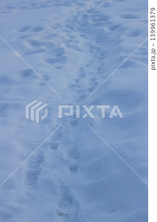 Snow texture background with ripples and shadows in winter 139961379