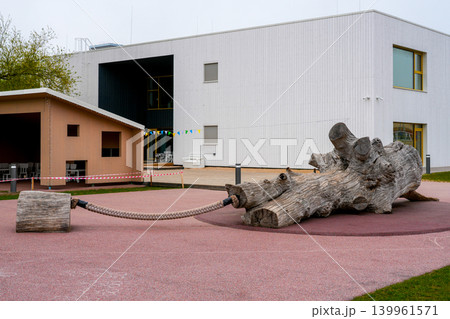 Natural wooden playground with old tree trunk sculpture at modern kindergarten courtyard playground Natural wooden playground with old tree trunk sculpture at modern kindergarten courtyard playground 139961571