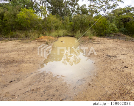 Flooding on a dirt fire trail running through a forest in the Blue Mountains 139962088