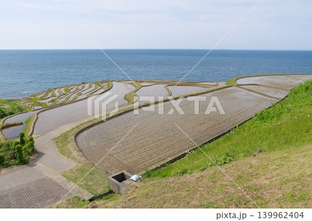 田植え前の白米千枚田 2023年5月 田植え前の白米千枚田 2023年5月 139962404