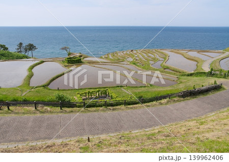 田植え前の白米千枚田　2023年5月 139962406