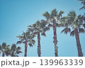 ヤシの木と青空 139963339