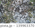 苔の生えた岩肌 139963370