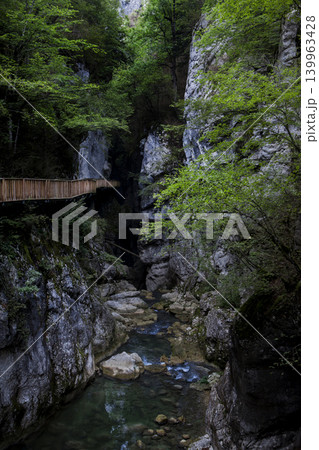 Wooden walkway in the valley 139963428