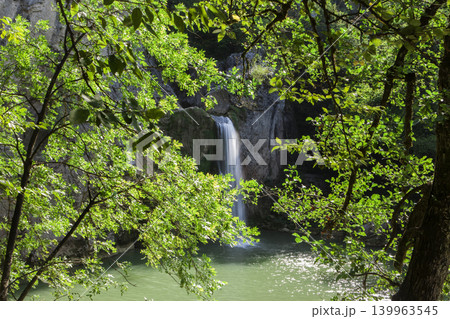 Waterfall Forest River 139963545