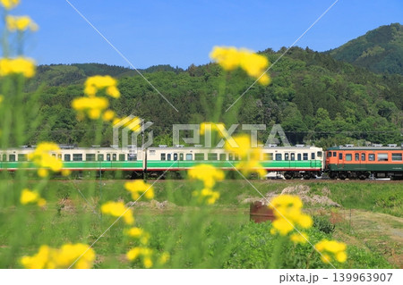 菜の花に見送られて小春日和の北しなの線を走行するしなの鉄道115系電車_2026/5/7撮影 菜の花に見送られて小春日和の北しなの線を走行するしなの鉄道115系電車_2026/5/7撮影 139963907