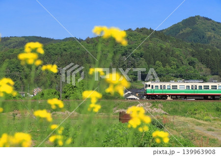 菜の花に見送られて小春日和の北しなの線を走行する115系電車(初代信州色)_2026/5/7撮影 菜の花に見送られて小春日和の北しなの線を走行する115系電車(初代信州色)_2026/5/7撮影 139963908