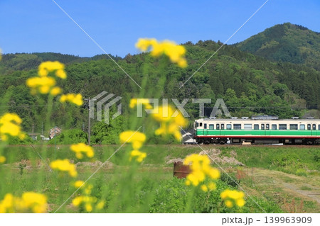 菜の花に見送られて小春日和の北しなの線を走行する115系電車(初代信州色)_2026/5/7撮影 菜の花に見送られて小春日和の北しなの線を走行する115系電車(初代信州色)_2026/5/7撮影 139963909