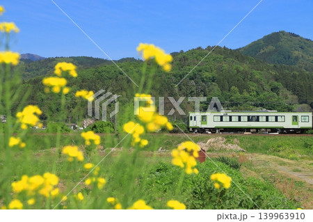 菜の花に見送られて小春日和の飯山線を走行するキハ110系気動車_2026/5/7撮影 菜の花に見送られて小春日和の飯山線を走行するキハ110系気動車_2026/5/7撮影 139963910