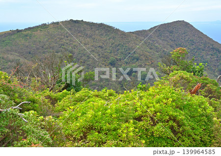 伊豆半島　伊豆山稜線歩道　魂ノ山山頂より望むミソウ台 139964585