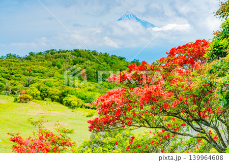 【静岡県】山ツツジが美しい金冠山、海越しの富士山 【静岡県】山ツツジが美しい金冠山、海越しの富士山 139964608