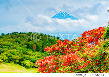 【静岡県】山ツツジが美しい金冠山、海越しの富士山 139964610