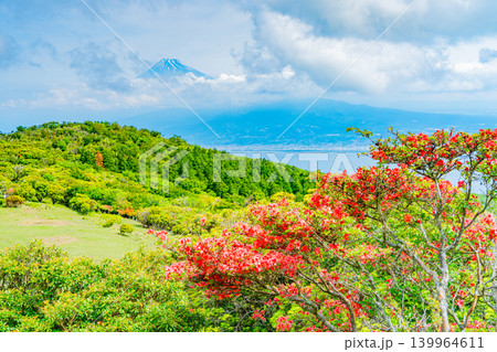 【静岡県】山ツツジが美しい金冠山、海越しの富士山 139964611