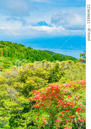 【静岡県】山ツツジが美しい金冠山、海越しの富士山 139964622