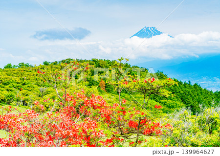 【静岡県】山ツツジが美しい金冠山、海越しの富士山 139964627